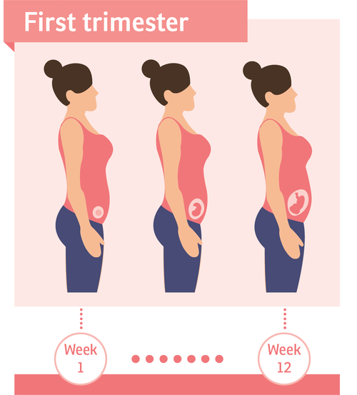 uploads/blogs/first-trimester-illustration-5e2aca.png